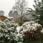 Cabanas Villarrica