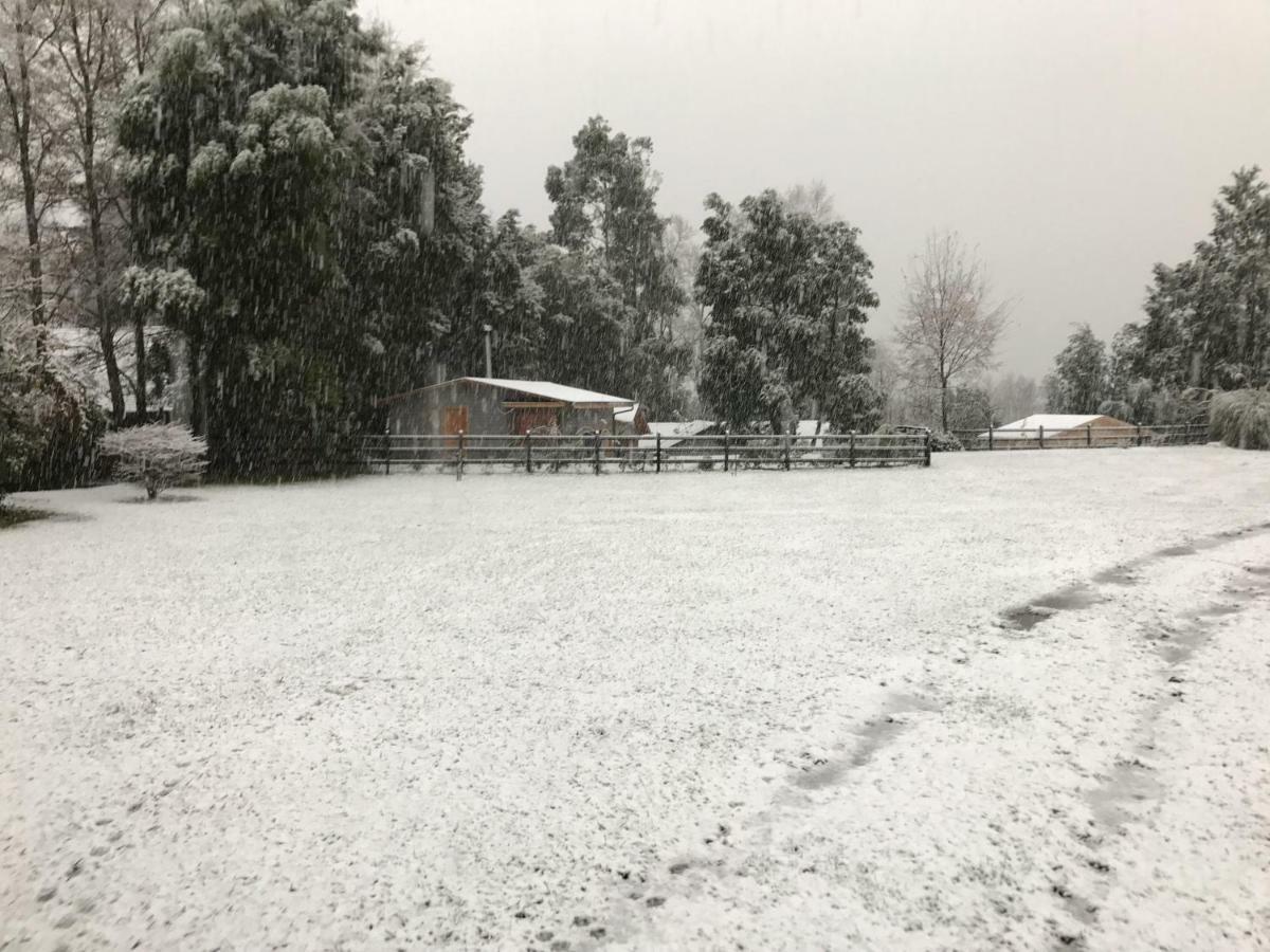 Cabanas Villarrica * Pucón